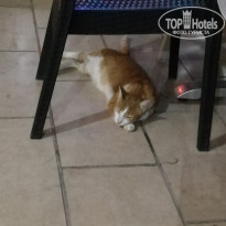 фото из отзыва ID 2072639