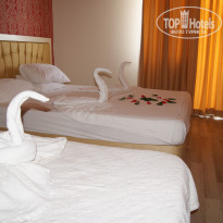 фото из отзыва ID 2072585