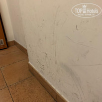 фото из отзыва ID 2072785