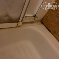 фото из отзыва ID 2072785