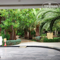 фото из отзыва ID 2072807