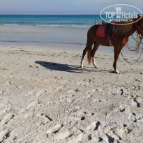 фото из отзыва ID 2072827