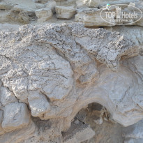 фото из отзыва ID 2072865