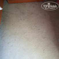 фото из отзыва ID 2072894