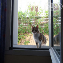 фото из отзыва ID 2072890