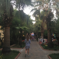 фото из отзыва ID 2072929