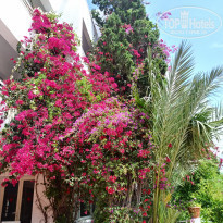 фото из отзыва ID 2072911