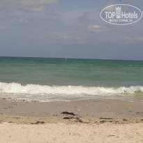 фото из отзыва ID 2072938