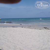 фото из отзыва ID 2072938