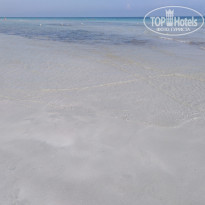 фото из отзыва ID 2072938