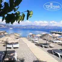 фото из отзыва ID 2072332