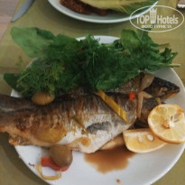 фото из отзыва ID 2073029