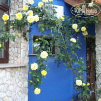 фото из отзыва ID 2073081