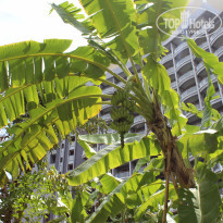 фото из отзыва ID 2073091