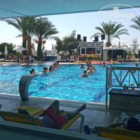 фото из отзыва ID 2073158