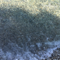 фото из отзыва ID 2073194