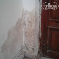 фото из отзыва ID 2073229