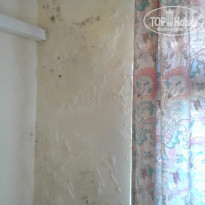 фото из отзыва ID 2073229