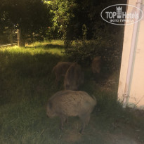 фото из отзыва ID 2071807