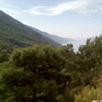 фото из отзыва ID 2073140