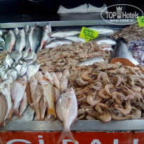 фото из отзыва ID 2073140