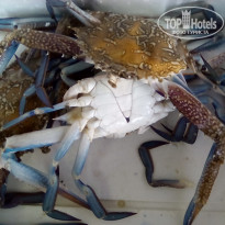 фото из отзыва ID 2073140