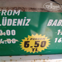 фото из отзыва ID 2073140