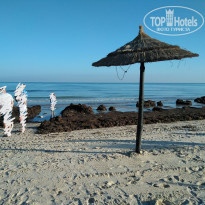 фото из отзыва ID 2073399