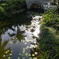 фото из отзыва ID 2073039