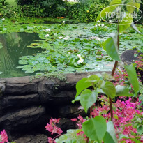 фото из отзыва ID 2073039