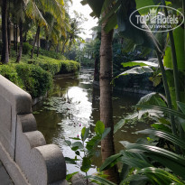 фото из отзыва ID 2073039