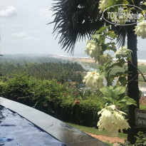 фото из отзыва ID 2073434