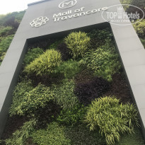 фото из отзыва ID 2073434