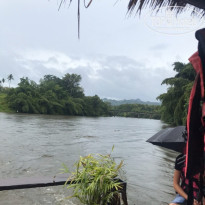 фото из отзыва ID 2073492