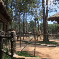 фото из отзыва ID 2073522