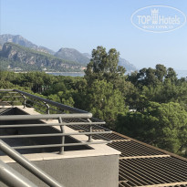 фото из отзыва ID 2073561