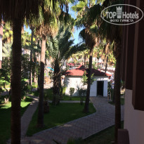 фото из отзыва ID 2073579