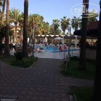 фото из отзыва ID 2073579