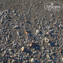 фото из отзыва ID 2073643