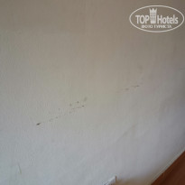 фото из отзыва ID 2073716