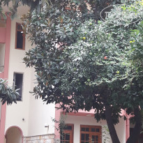 фото из отзыва ID 2073750