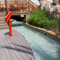 фото из отзыва ID 2073889