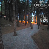 фото из отзыва ID 2073858