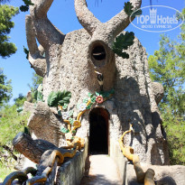 фото из отзыва ID 2073900