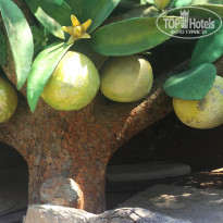 фото из отзыва ID 2073900