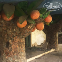 фото из отзыва ID 2073900