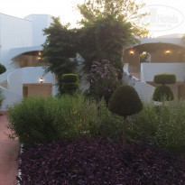 фото из отзыва ID 2073435