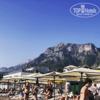 фото из отзыва ID 2074031