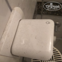 фото из отзыва ID 2074048