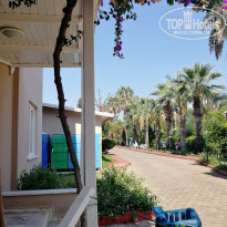 фото из отзыва ID 2074179